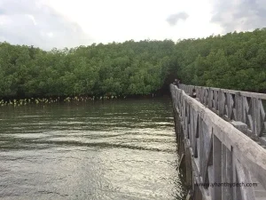 jembatan tongke sinjai jpeg