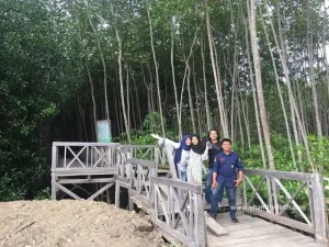 jembatan tongke tongke jpeg