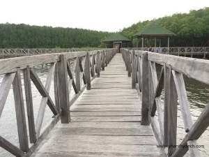 jembatan tongke tongke sinjai jpeg
