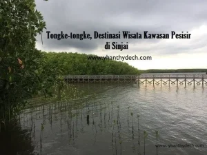 tongke-tongke