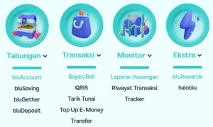 review aplikasi blu jpg