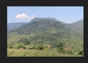 Desa Buakkang Gowa