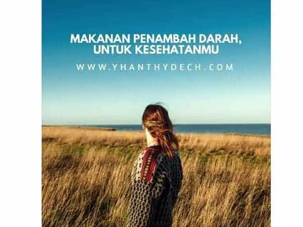 makanan penambah darah